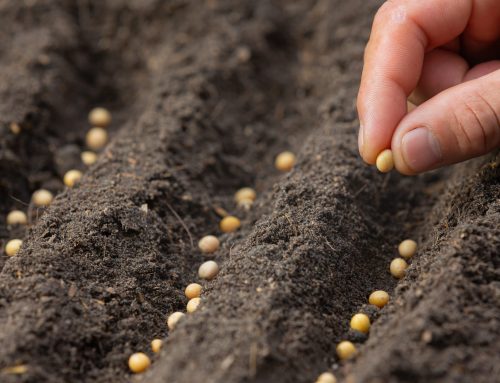 Stoppen met acquisitie in de zomer